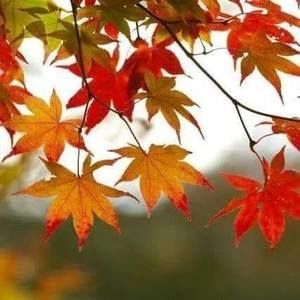 Meet your Posher, Raisa